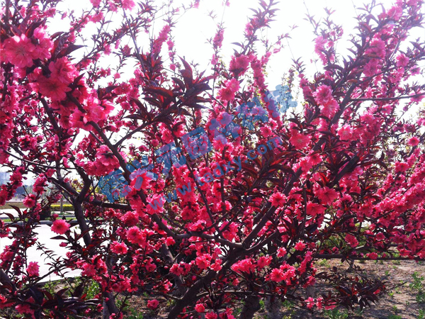 �c���鿴Ԕ����Ϣ���}������ ��x�Δ�(sh��)��2121