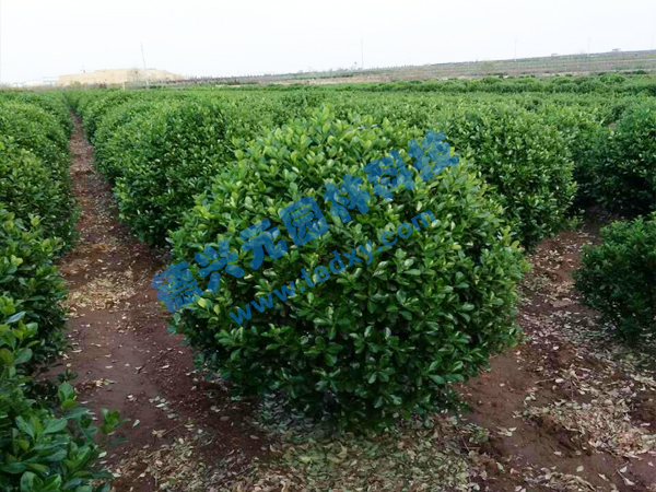 �c���鿴Ԕ����Ϣ���}�����~�S���� ��x�Δ�(sh��)��2346