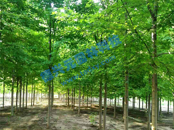 �c���鿴Ԕ��(x��)��Ϣ��(bi��o)�}�������t�� ��x�Δ�(sh��)��1883