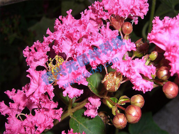 �c���鿴Ԕ����Ϣ���}����ޱ ��x�Δ�(sh��)��1687